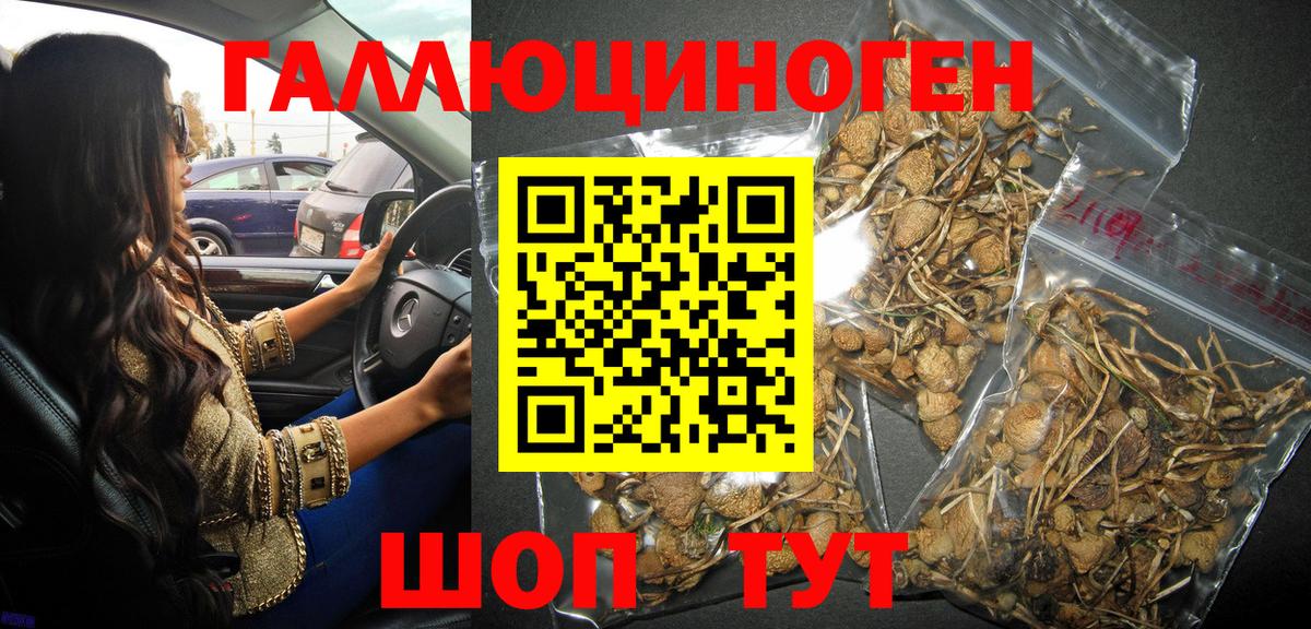 Псилоцибиновые грибы MAGIC MUSHROOMS Нурлат
