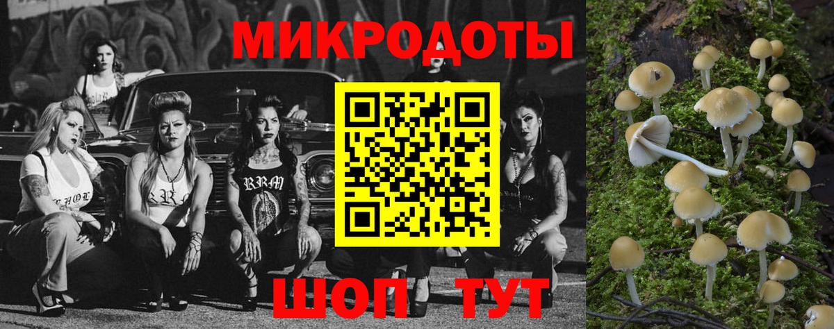 Нурлат  Галлюциногенные грибы Cubensis  Вход с VPN 